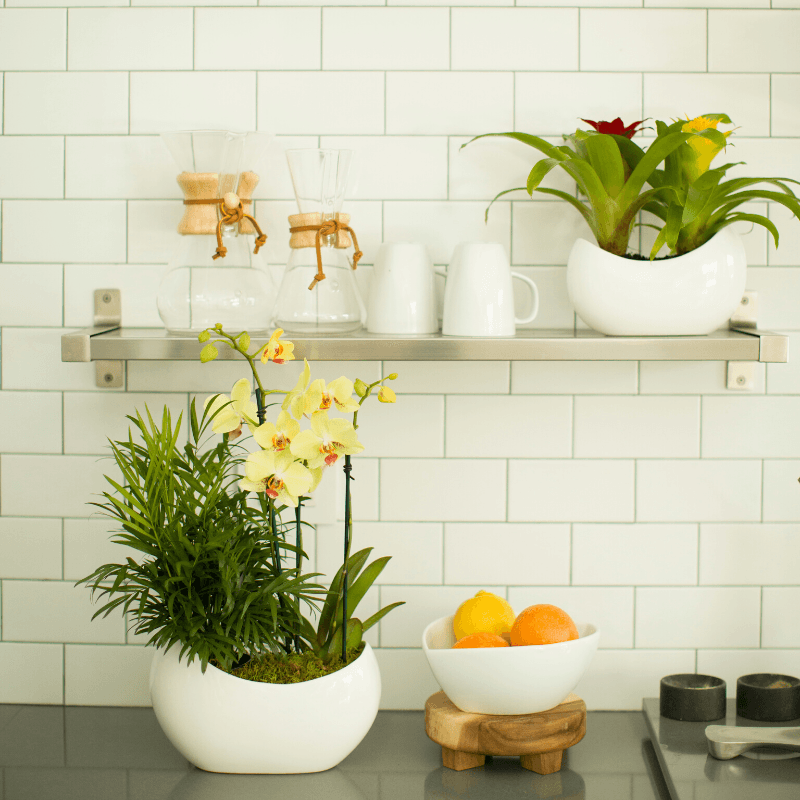 Designers / Home Stagers
