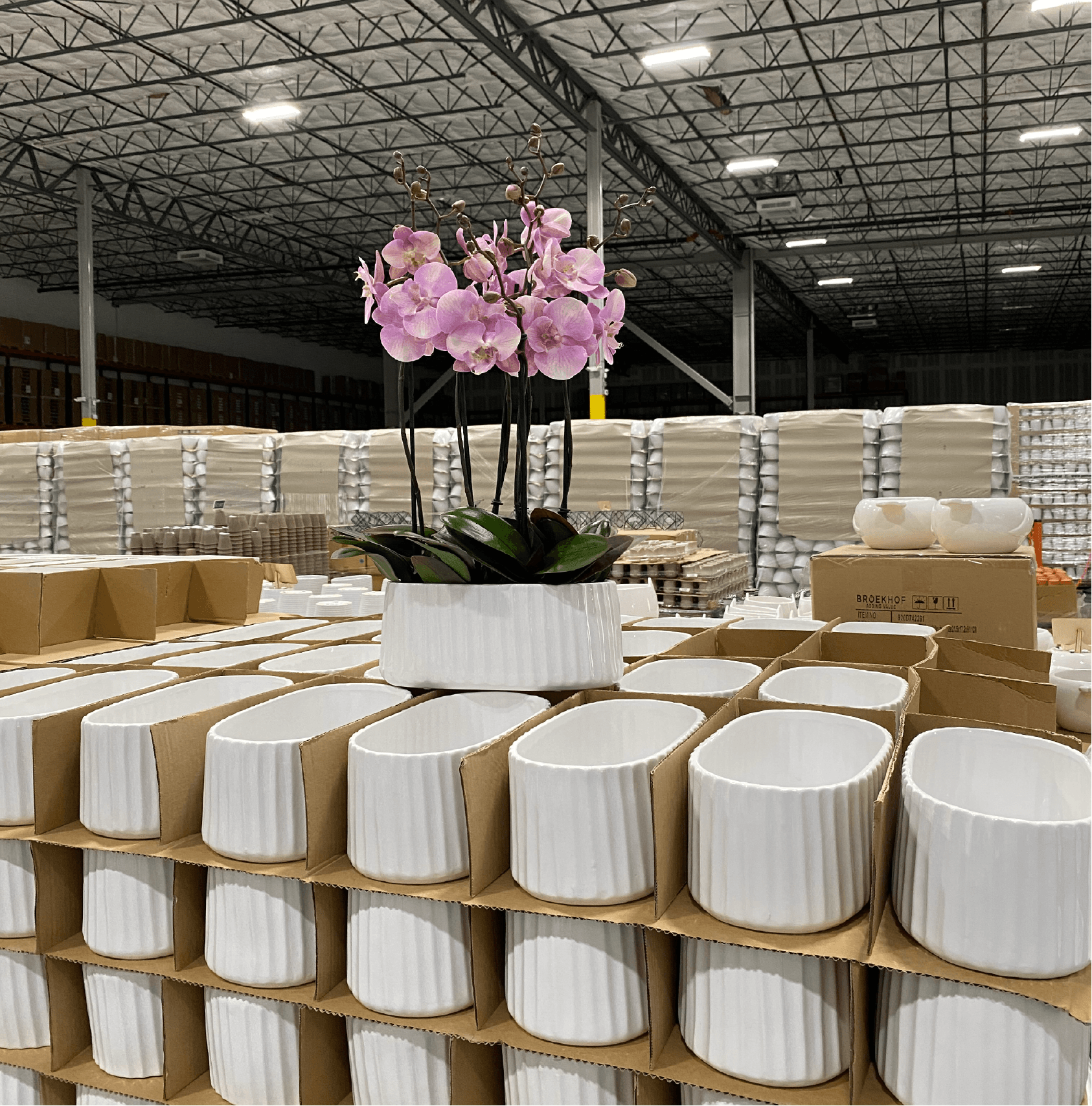 Containers & Accessories